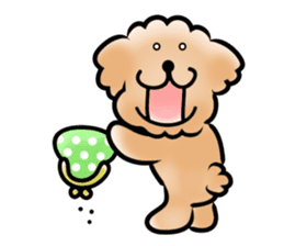 Poodle with 365 days sticker #4098131