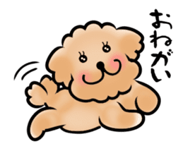 Poodle with 365 days sticker #4098145