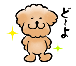 Poodle with 365 days sticker #4098150