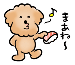 Poodle with 365 days sticker #4098151