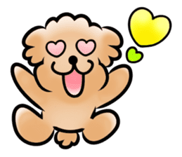 Poodle with 365 days sticker #4098153