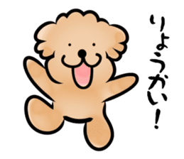 Poodle with 365 days sticker #4098159