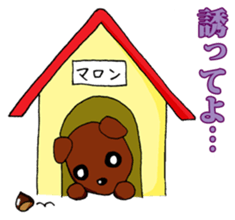 I want to bothered dog ~MARON~ sticker #4099798