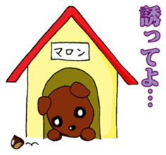 I want to bothered dog ~MARON~ sticker #4099798