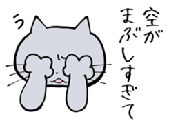 Complaint Gray Cat sticker #4100013