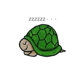 Strange turtle Kamekichi sticker #4101815