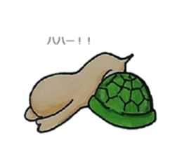 Strange turtle Kamekichi sticker #4101818