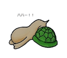 Strange turtle Kamekichi sticker #4101818