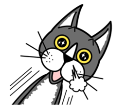 Fine cat sticker #4102089