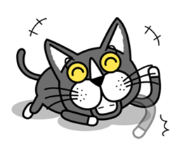 Fine cat sticker #4102094