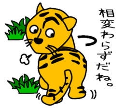 Looking condition sticker #4102464