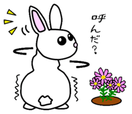 Looking condition sticker #4102471