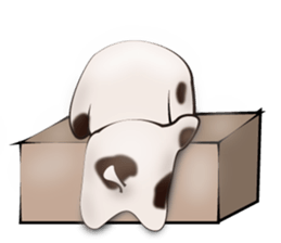 Daru Messiaen sticker #4104444