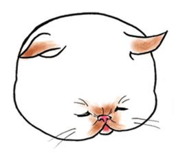 Cat funny face sticker #4107320