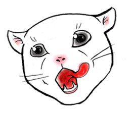 Cat funny face sticker #4107324