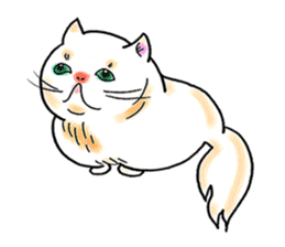 Cat funny face sticker #4107326
