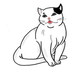 Cat funny face sticker #4107328