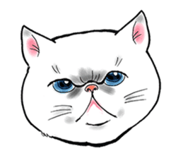Cat funny face sticker #4107329