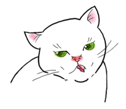 Cat funny face sticker #4107330