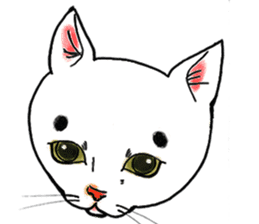Cat funny face sticker #4107331