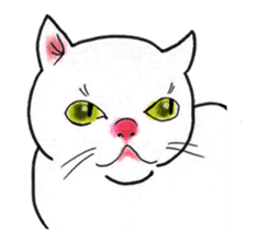 Cat funny face sticker #4107335