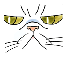 Cat funny face sticker #4107339