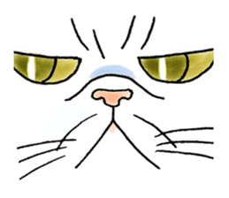 Cat funny face sticker #4107339