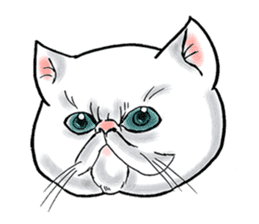 Cat funny face sticker #4107340