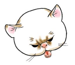Cat funny face sticker #4107341
