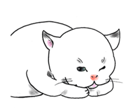 Cat funny face sticker #4107342
