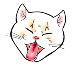 Cat funny face sticker #4107344