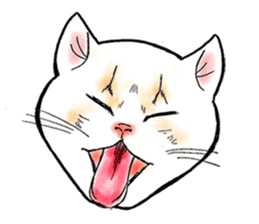 Cat funny face sticker #4107344