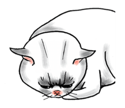 Cat funny face sticker #4107347