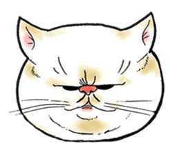 Cat funny face sticker #4107349