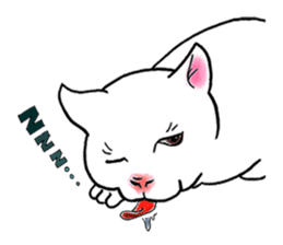 Cat funny face sticker #4107350