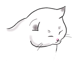 Cat funny face sticker #4107351