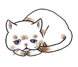 Cat funny face sticker #4107352