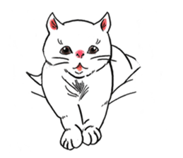 Cat funny face sticker #4107355