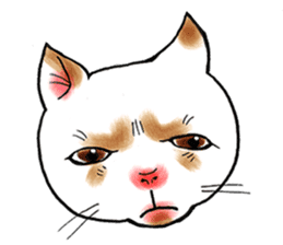 Cat funny face sticker #4107358
