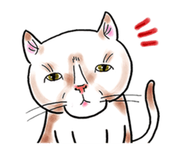 Cat funny face sticker #4107359