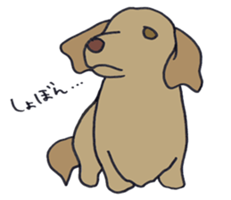 The looooooong dogs! sticker #4108027
