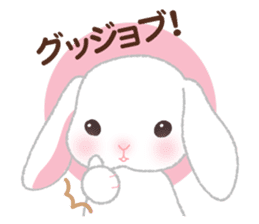 Poteusa Loppy by Amuse Co.,Ltd.