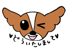 Coco's daily life sticker #4110207