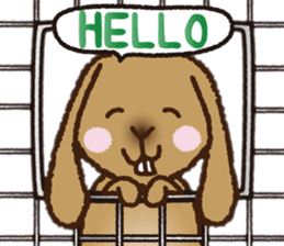 House sitting rabbit, kuu-chan world sticker #4112779