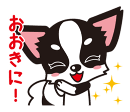 Cute Chihuahua Kansai Words Stickers sticker #4115453