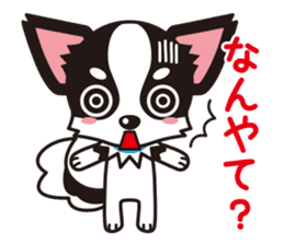 Cute Chihuahua Kansai Words Stickers sticker #4115458