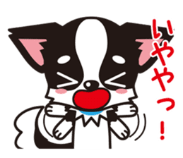 Cute Chihuahua Kansai Words Stickers sticker #4115460