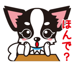 Cute Chihuahua Kansai Words Stickers sticker #4115469