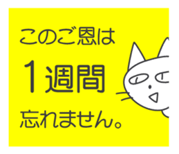 Pleasant daily life of white cat Ume sticker #4115883