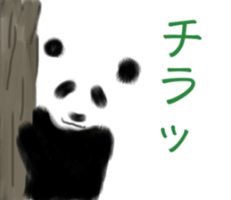 Such as the PANDA sticker #4116147